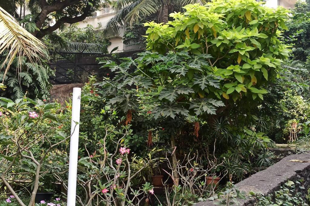 Cozy Private Ac Studio By The Sea Bandstand Bandra W Mumbai Nr Taj Lands End Apartment ภายนอก รูปภาพ