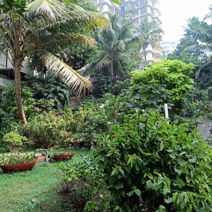 Cozy Private Ac Studio By The Sea Bandstand Bandra W Mumbai Nr Taj Lands End Apartment ภายนอก รูปภาพ